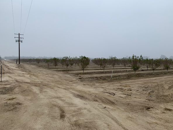 ASKY Almonds: 14899 Avenue 295, Visalia, CA 93292